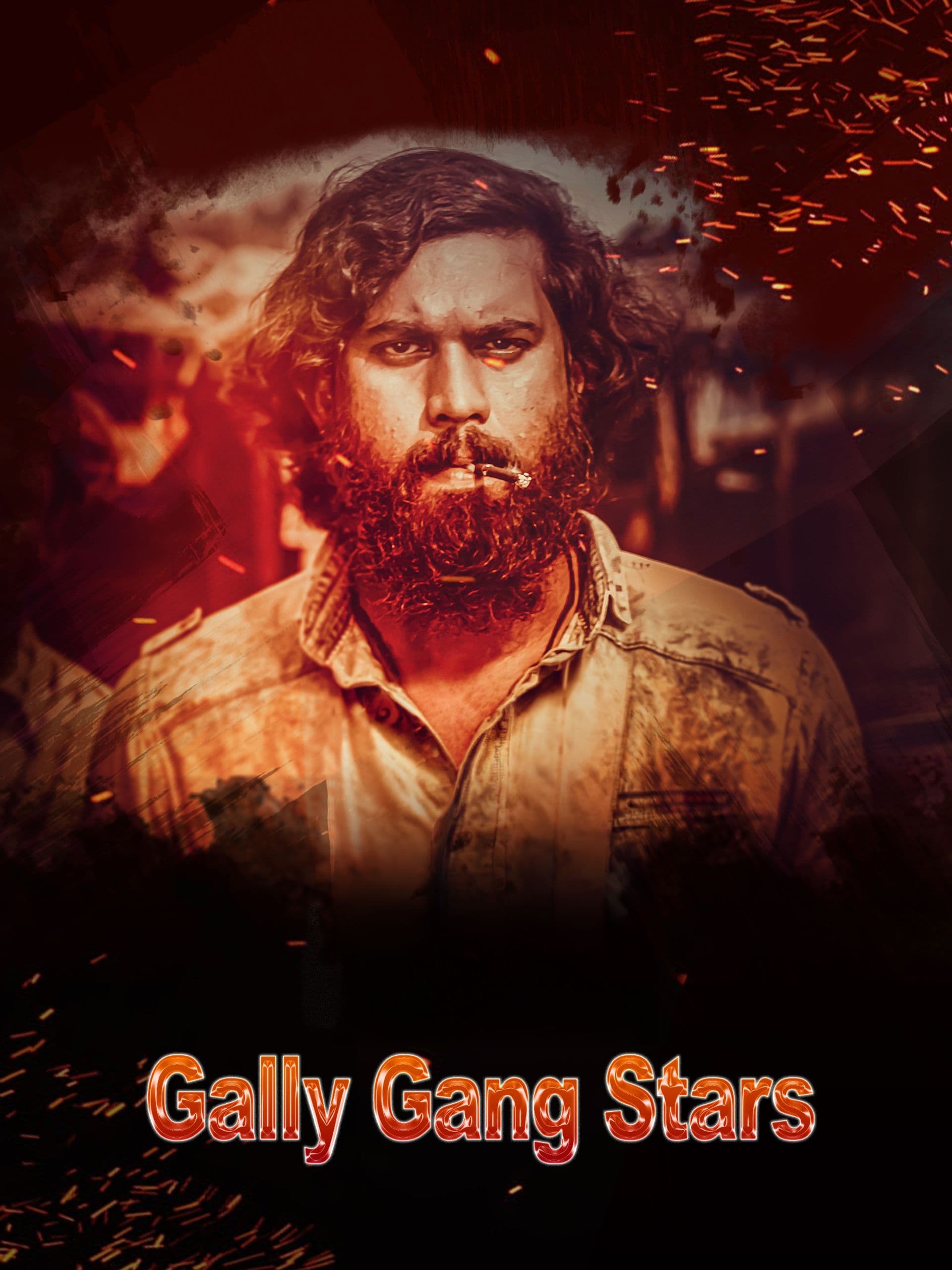 Gally Gang Stars poster