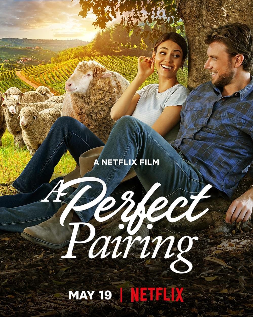 A Perfect Pairing poster