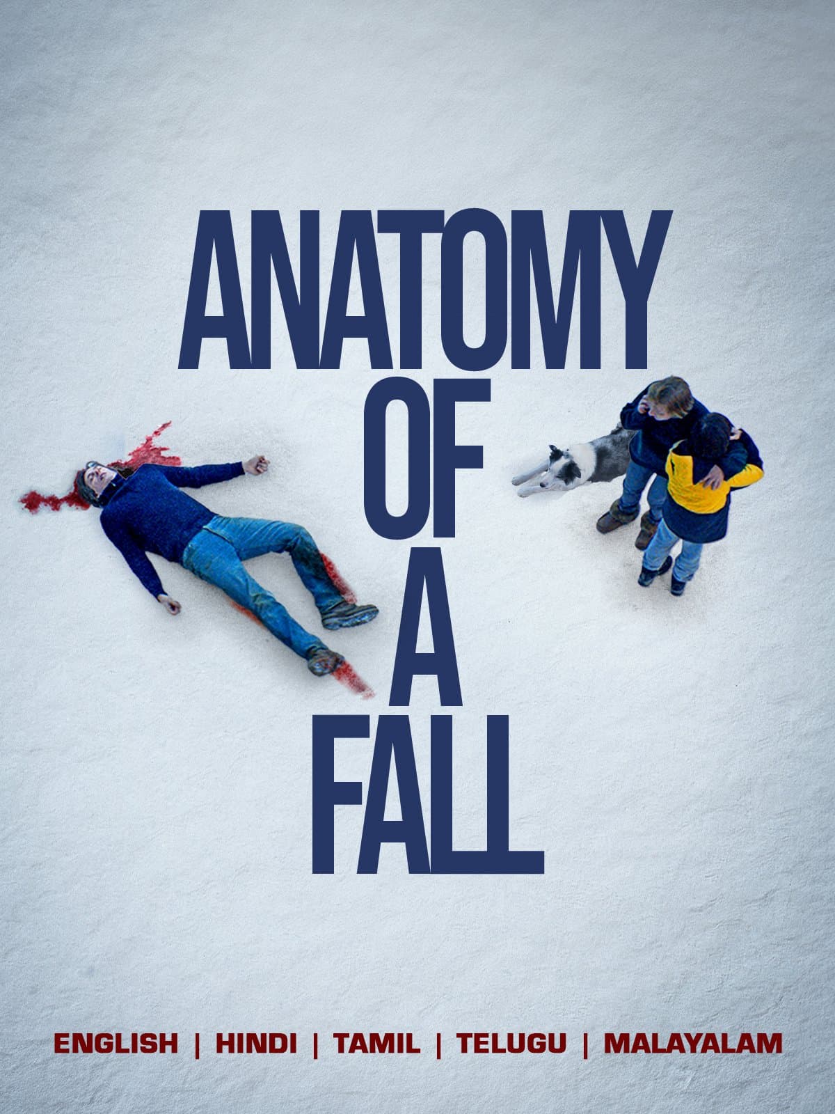 Anatomy Of A Fall poster