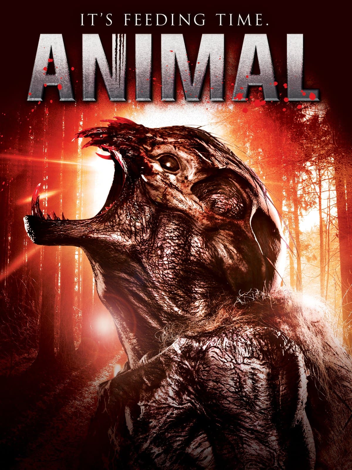 Animal poster