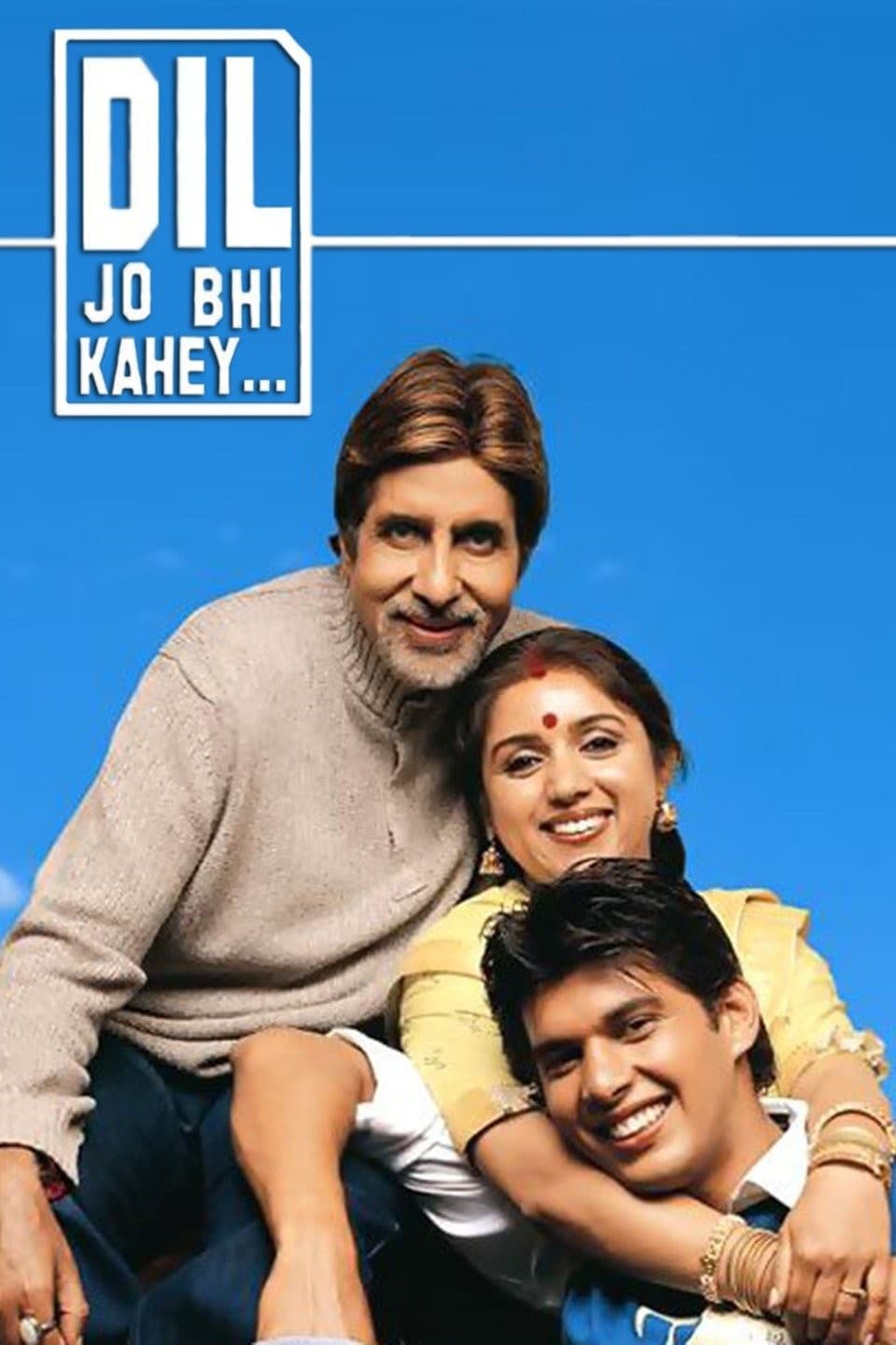 Dil Jo Bhi Kahey... poster