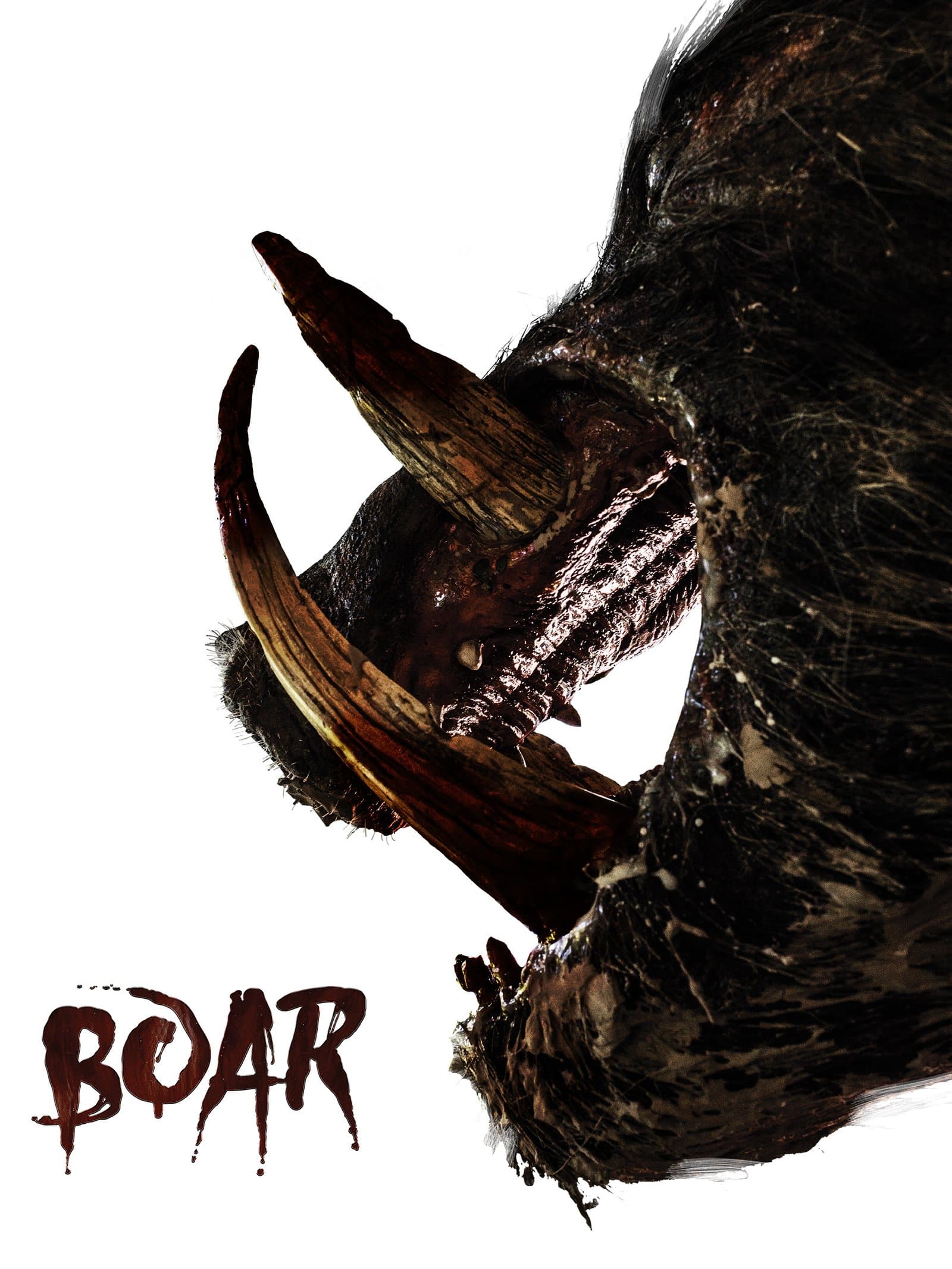 Boar poster