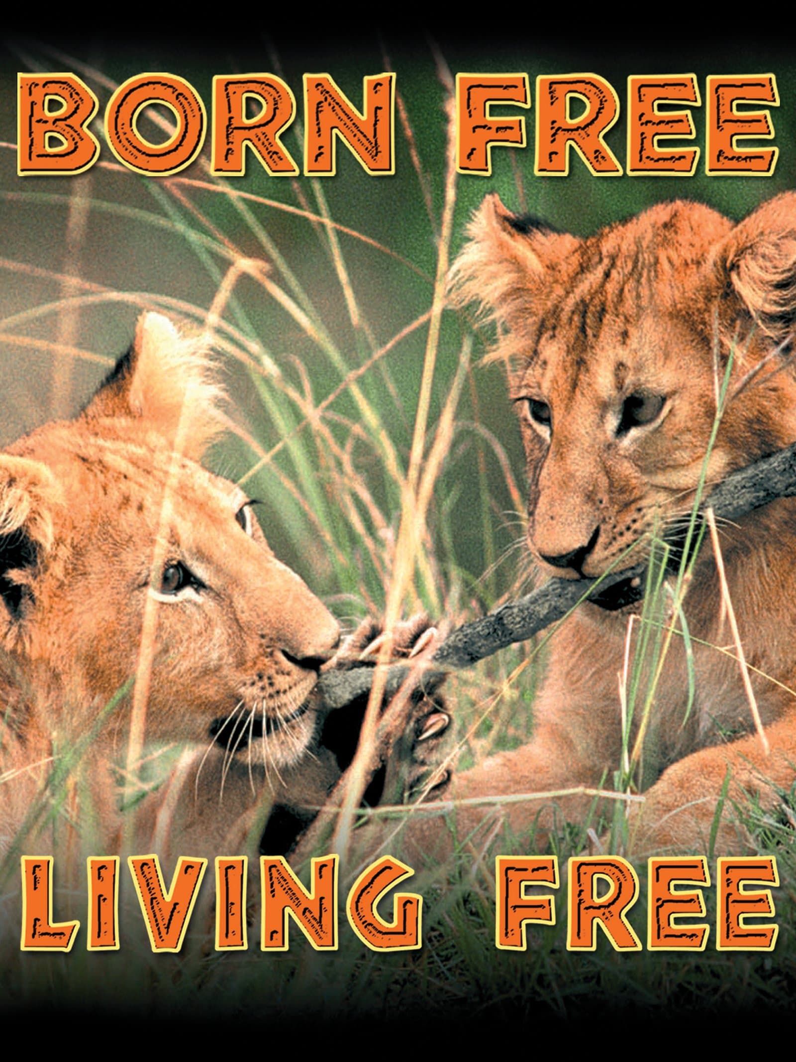 Born Free poster
