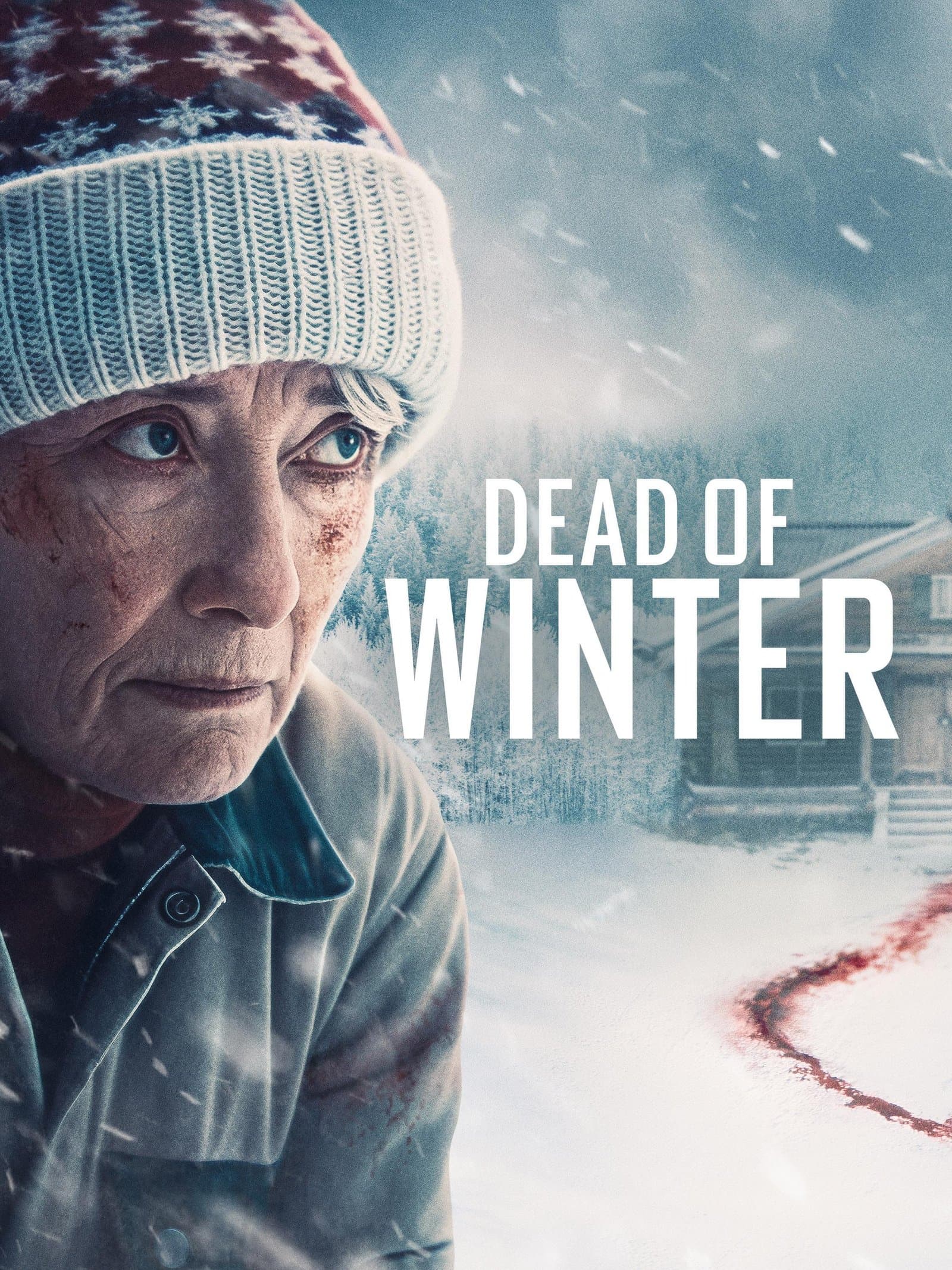 Dead of Winter poster