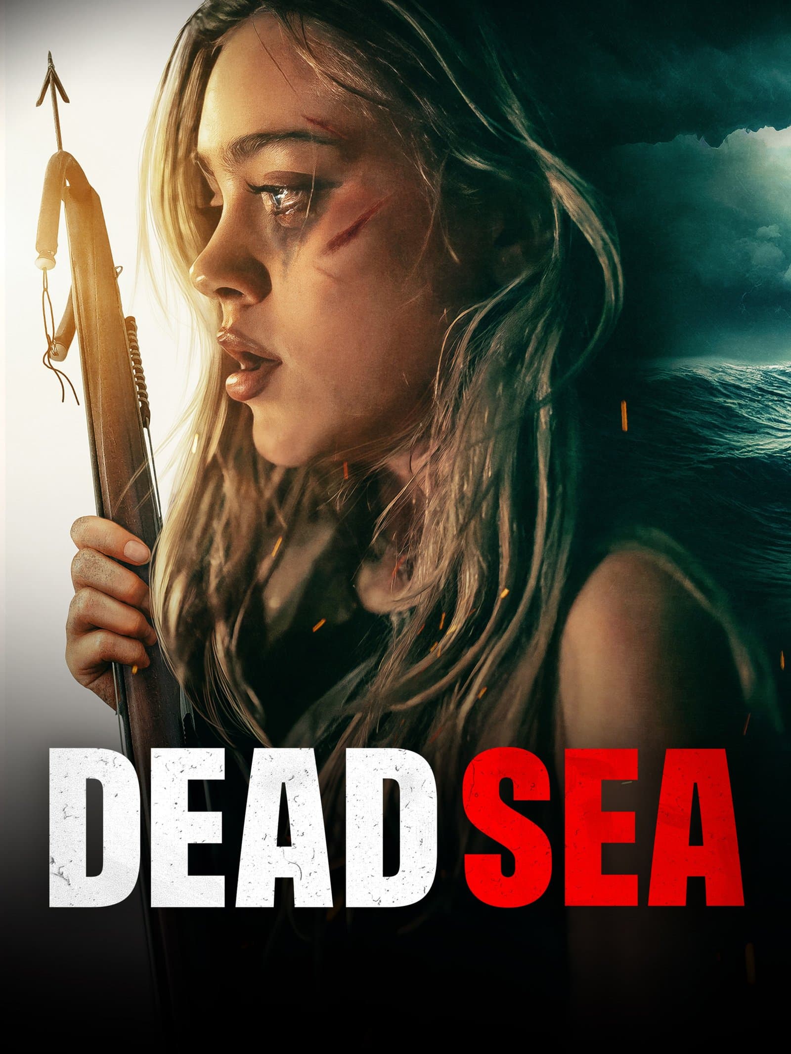 Dead Sea poster