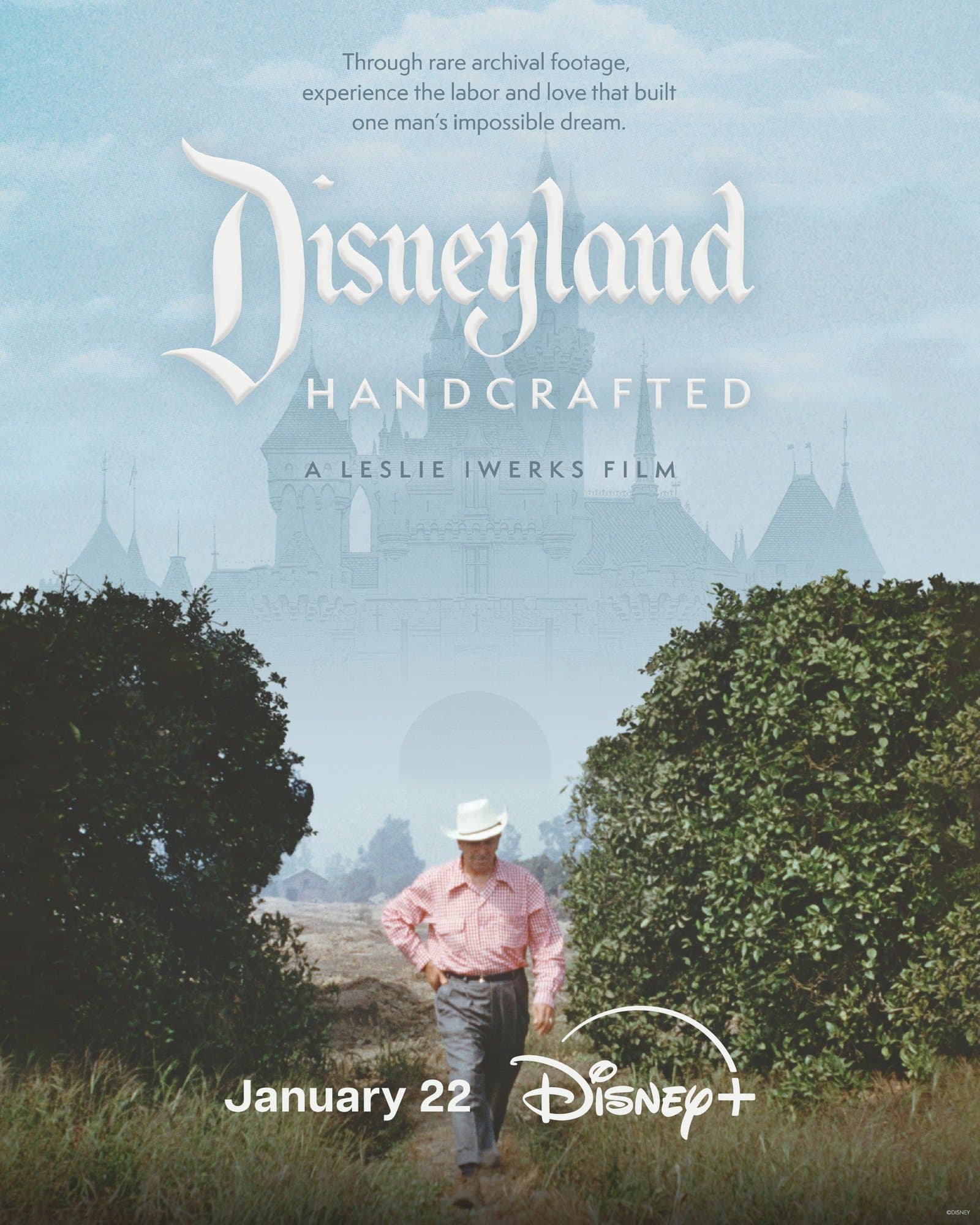 Disneyland Handcrafted poster