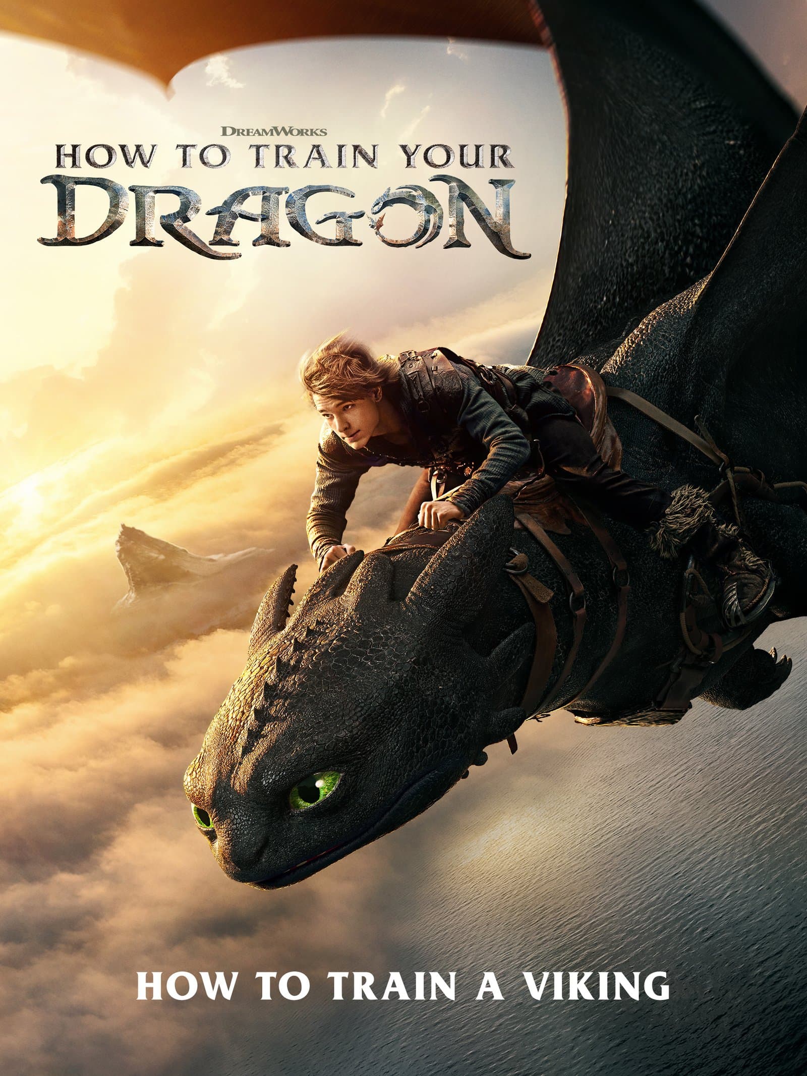 How To Train Your Dragon poster
