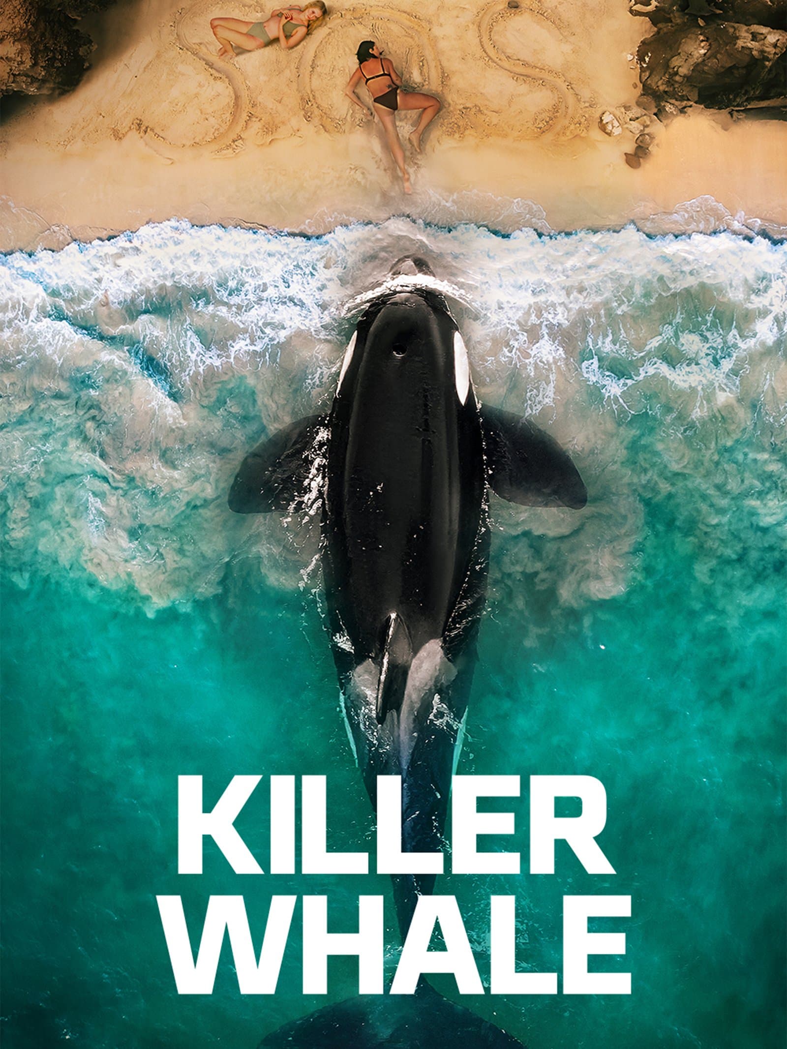 Killer Whale poster
