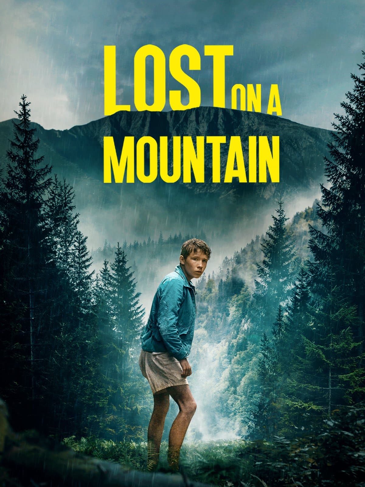 Lost On A Mountain poster