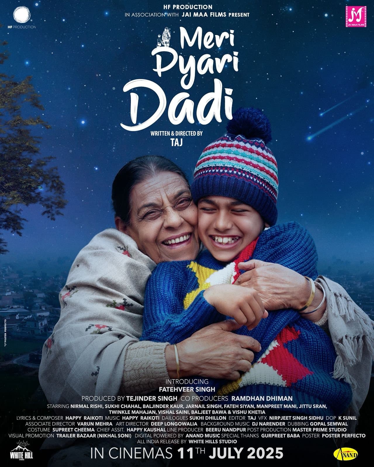 Meri Pyari Dadi poster