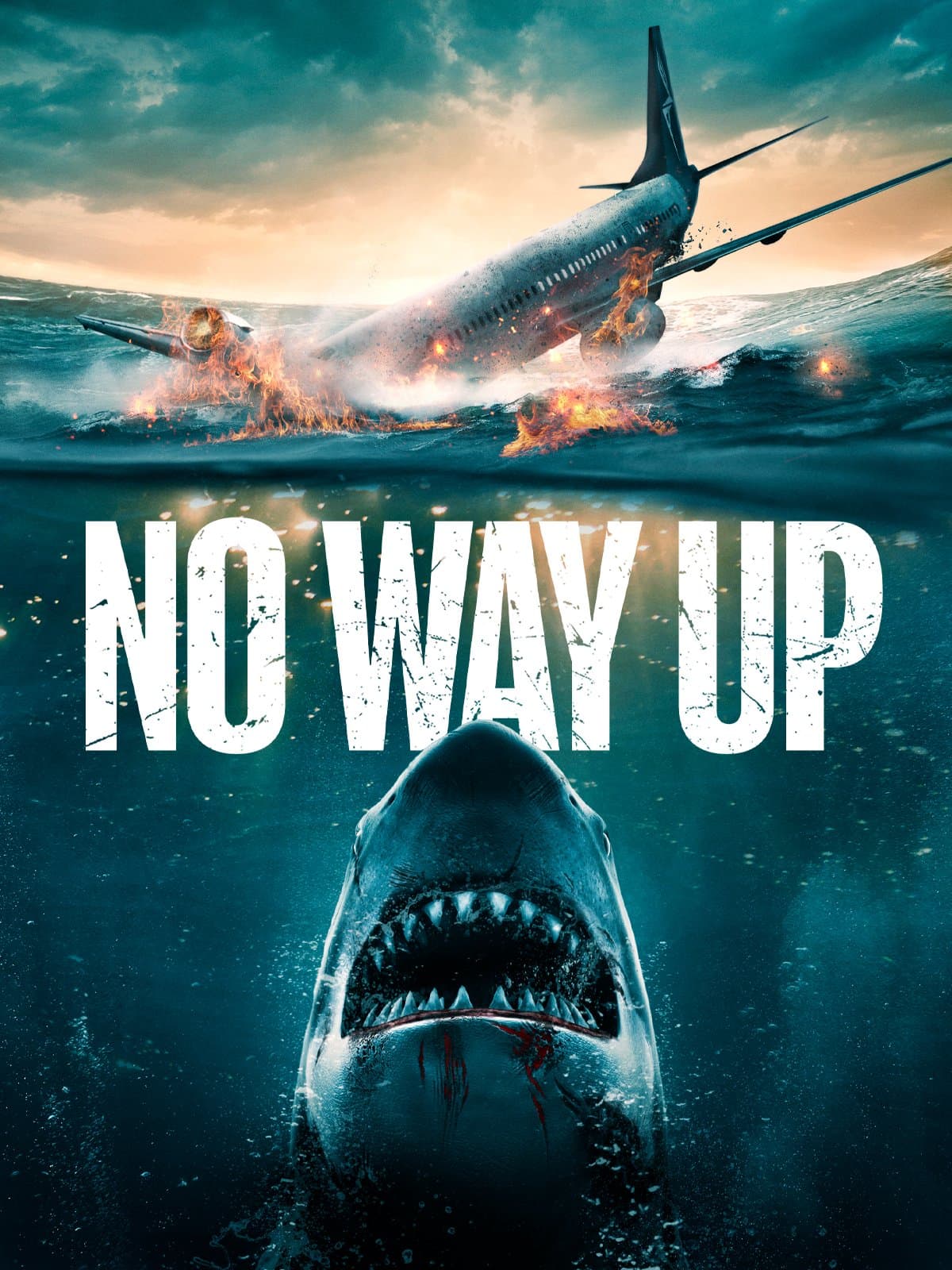 No Way Up poster