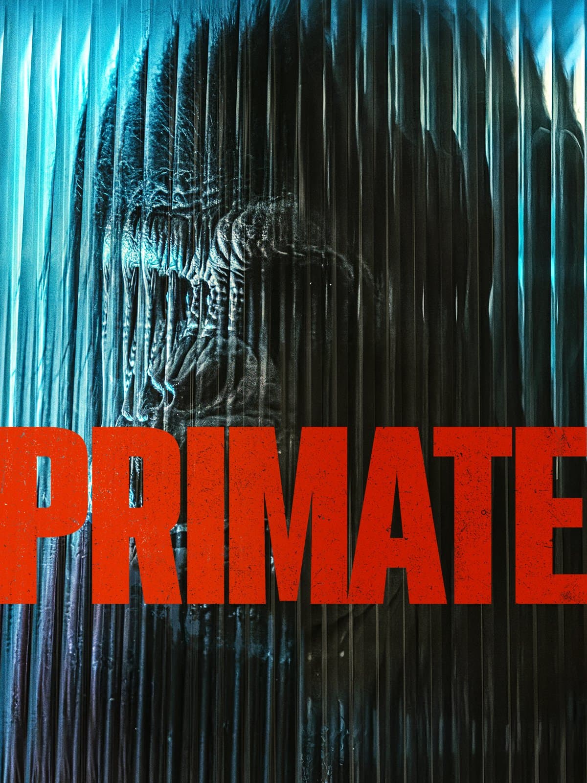 Primate poster