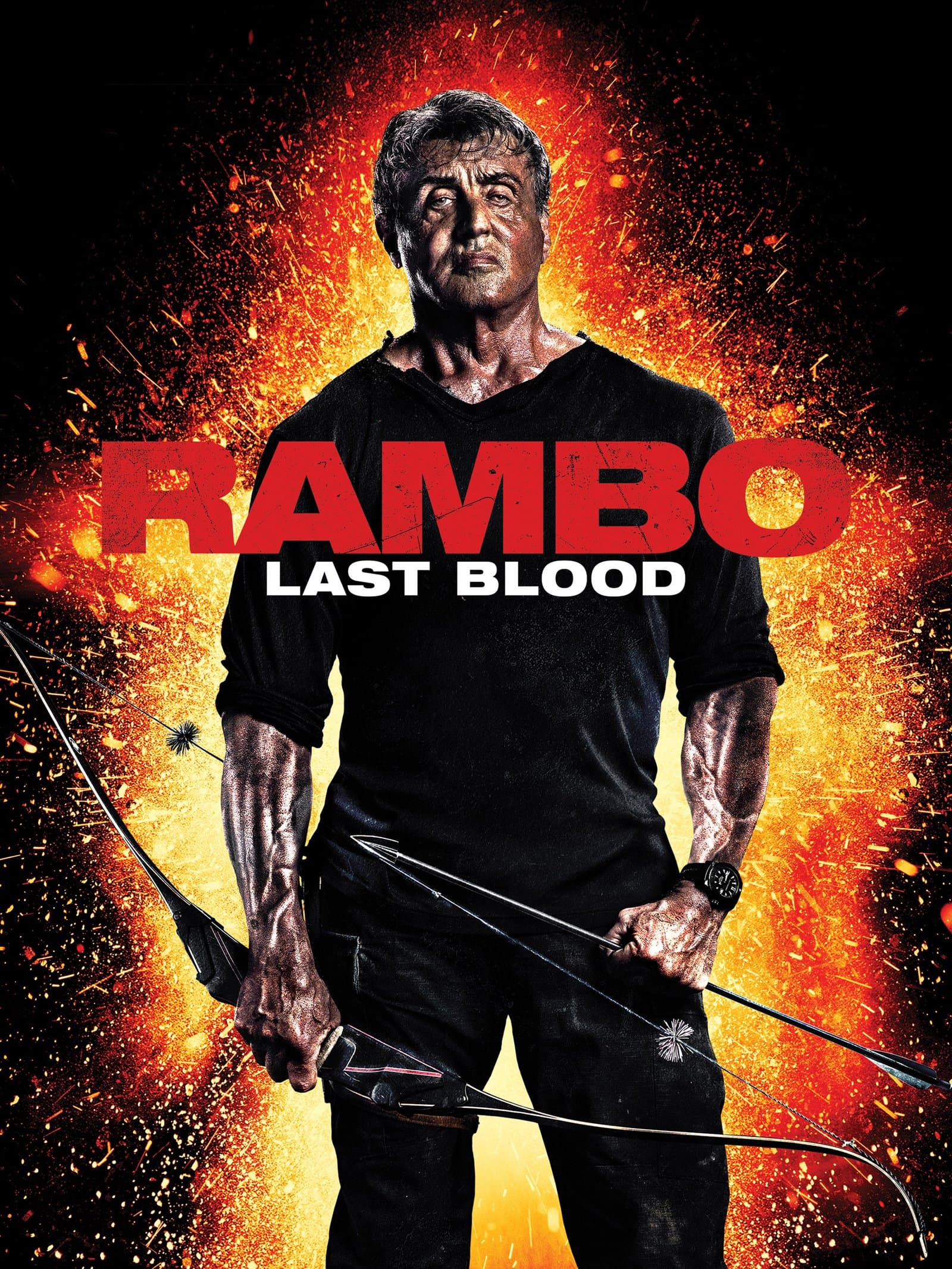 Rambo: Last Blood poster