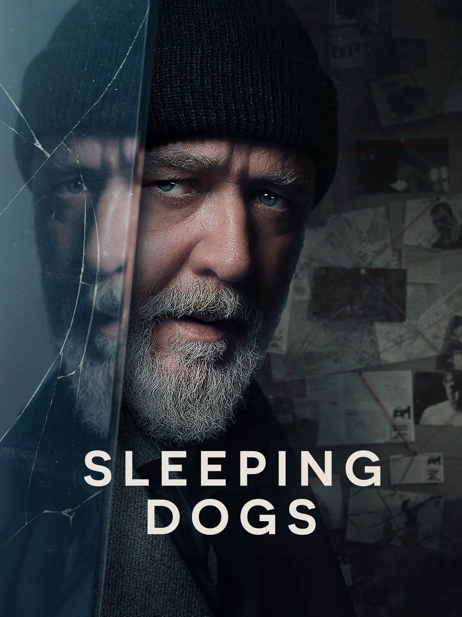 Sleeping Dogs poster