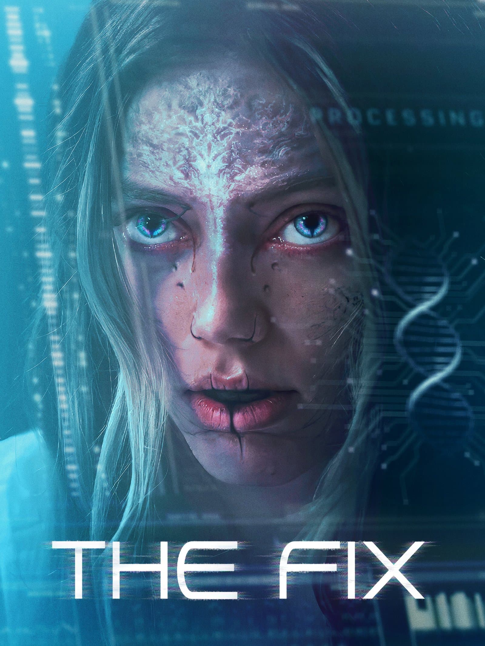 THE FIX poster