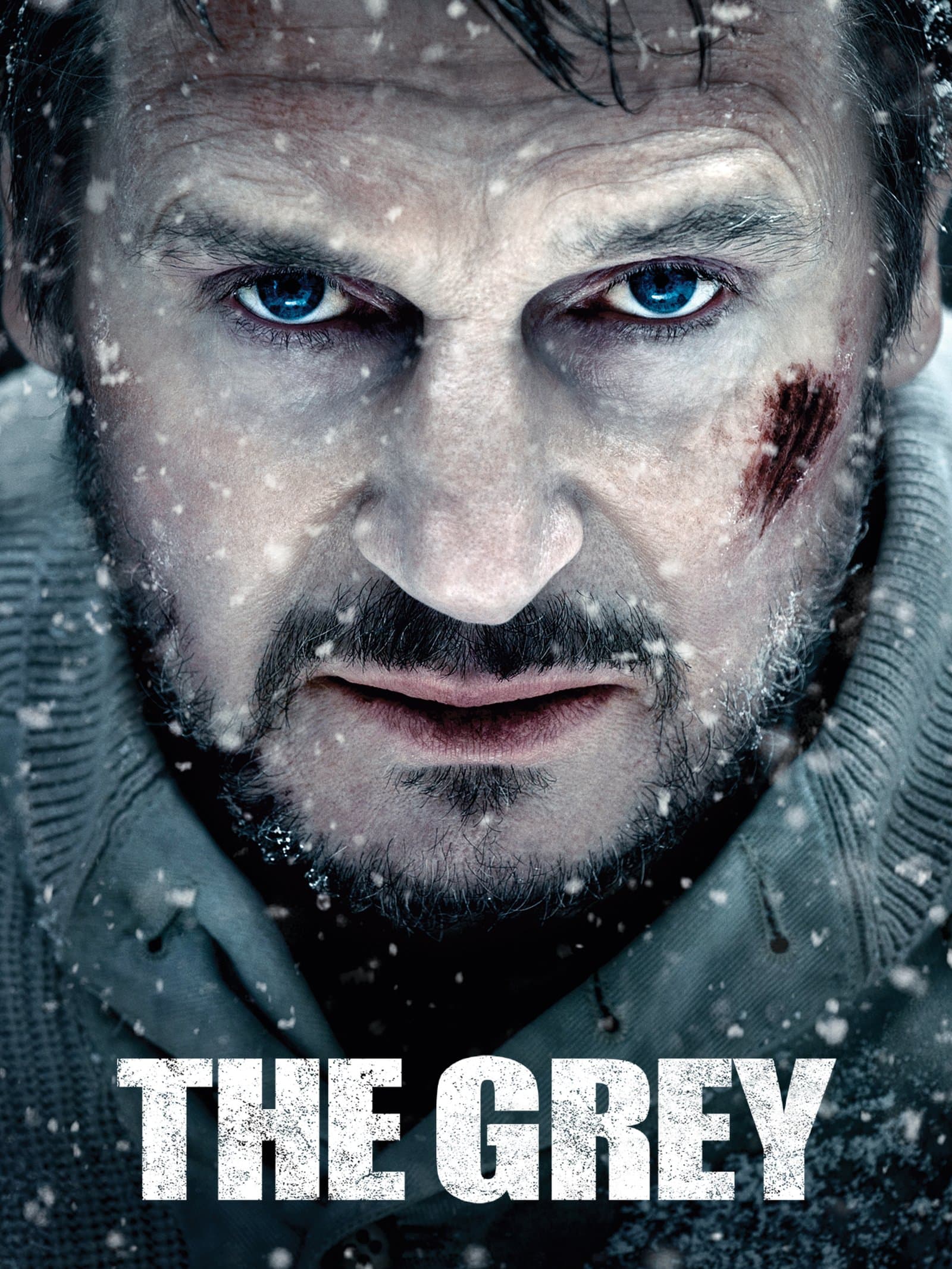 The Grey poster