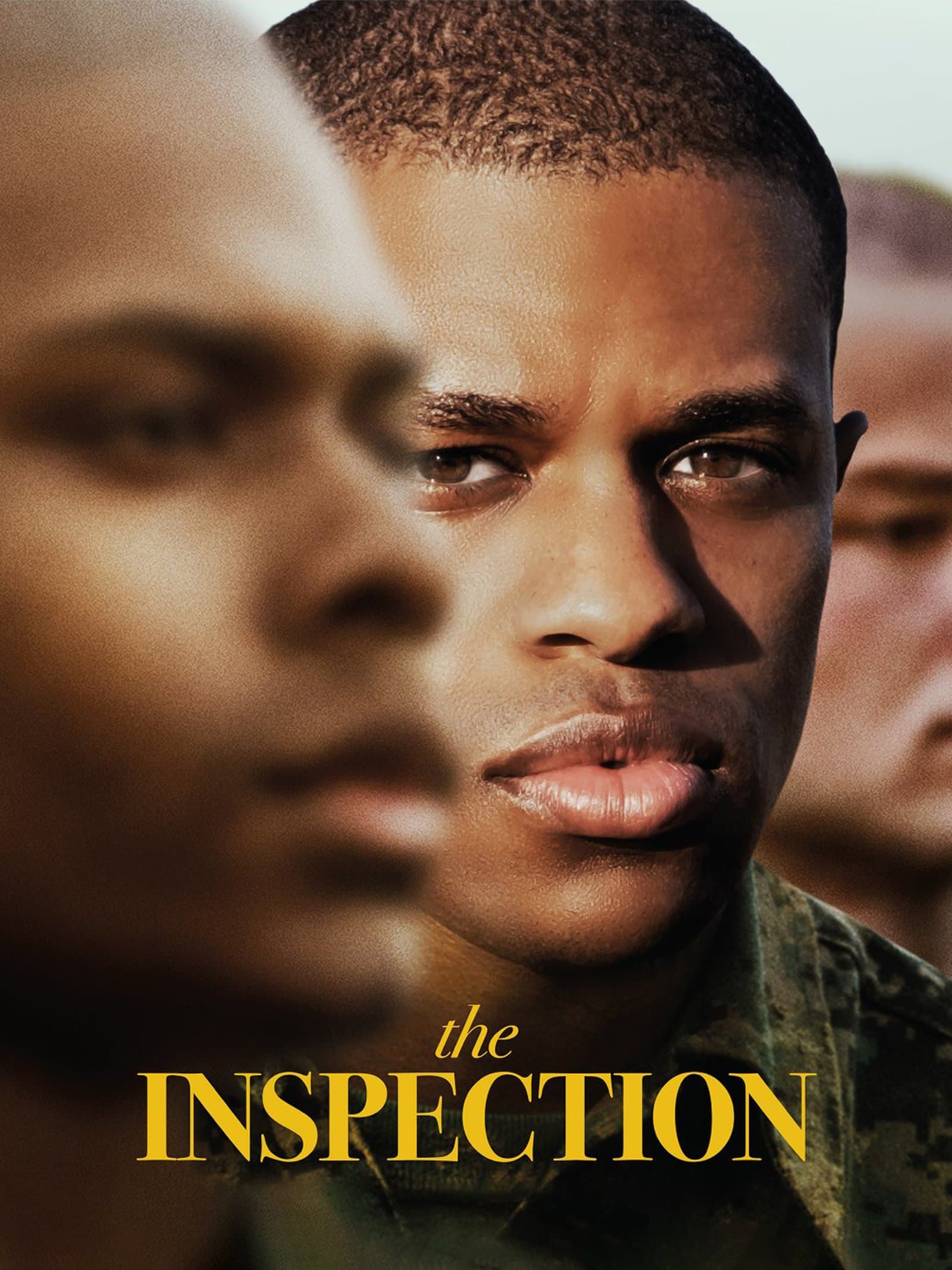 The Inspection poster
