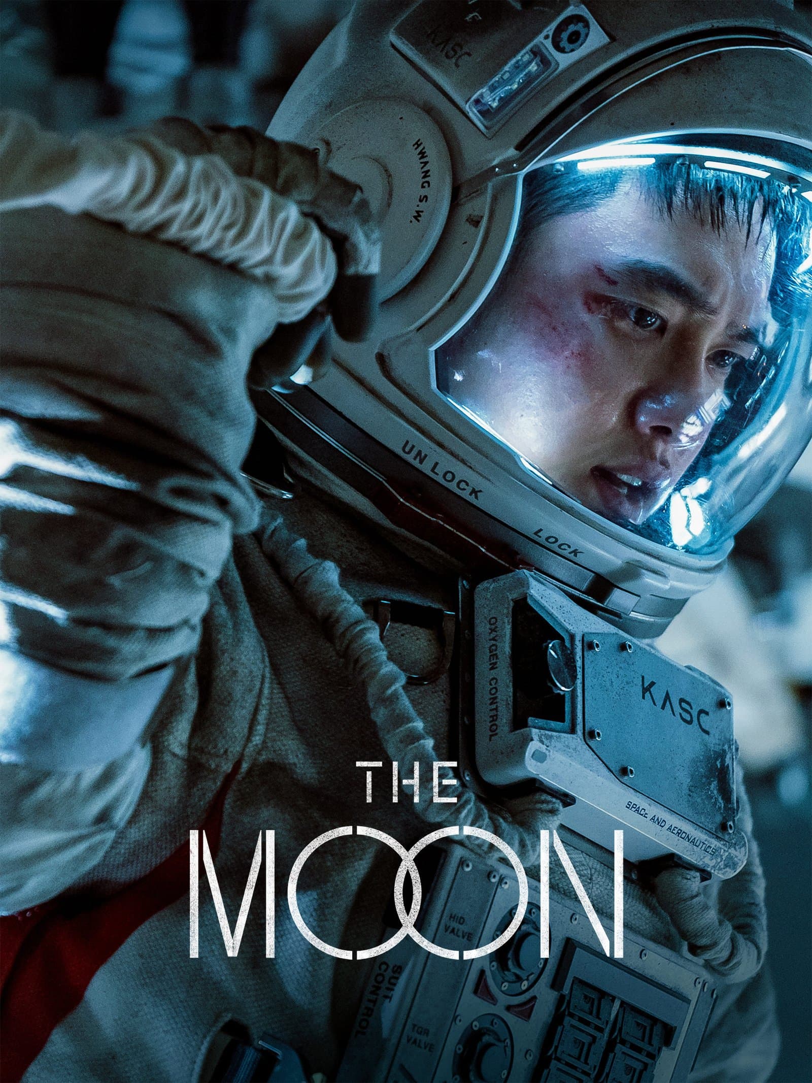 The Moon poster
