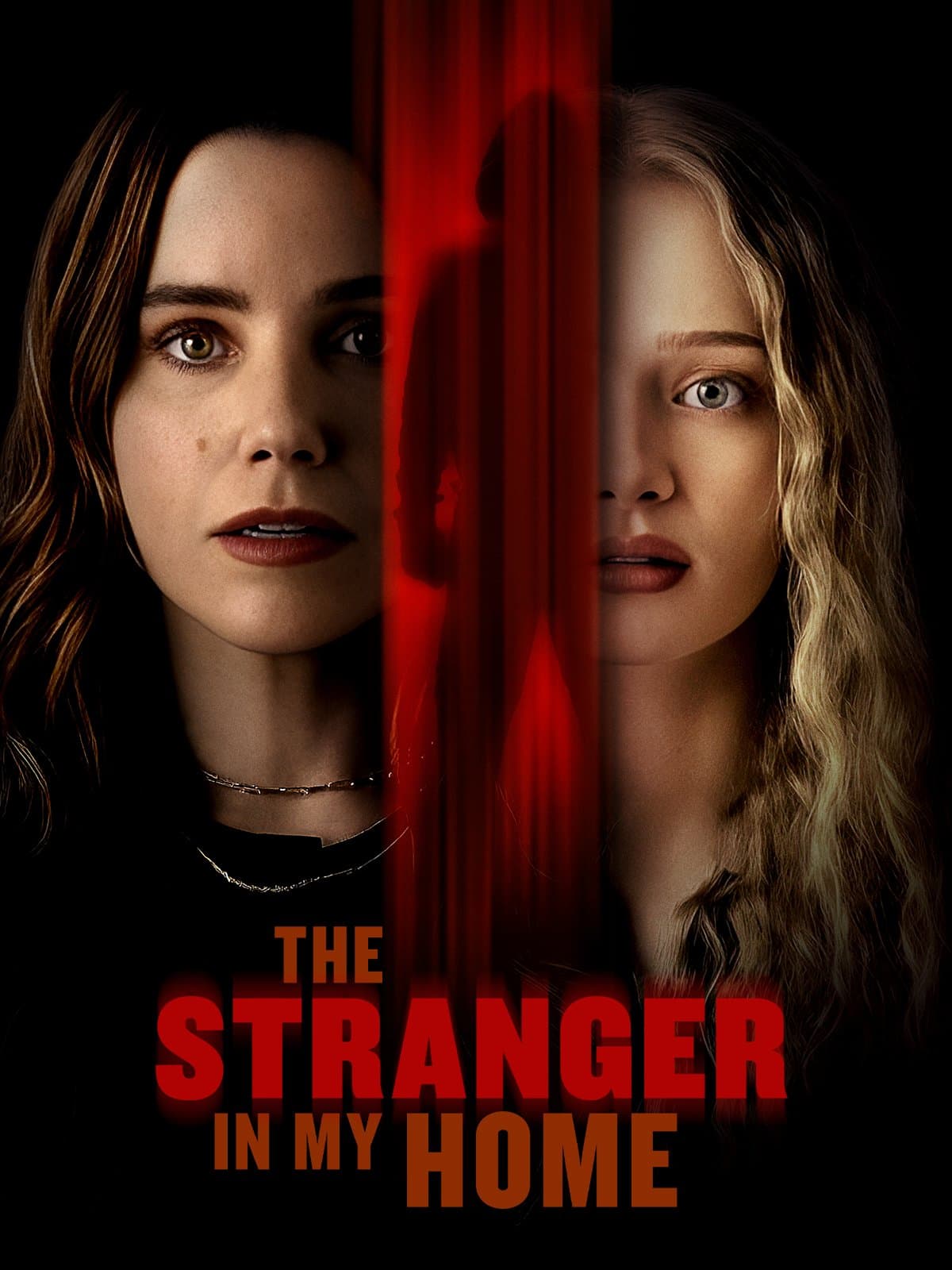 The Stranger in My Home poster