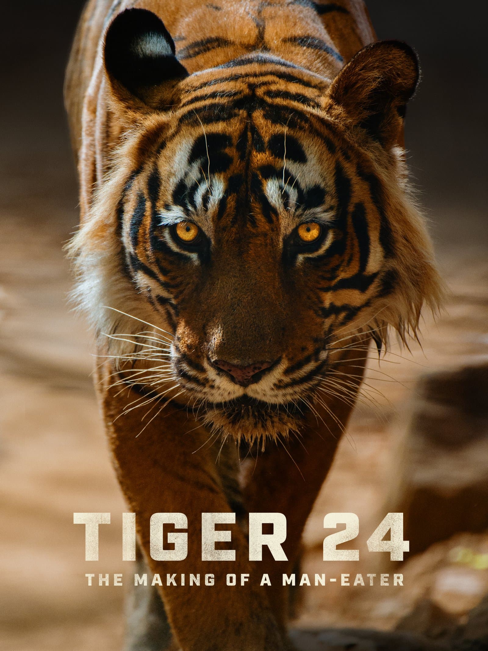 TIGER 24 poster