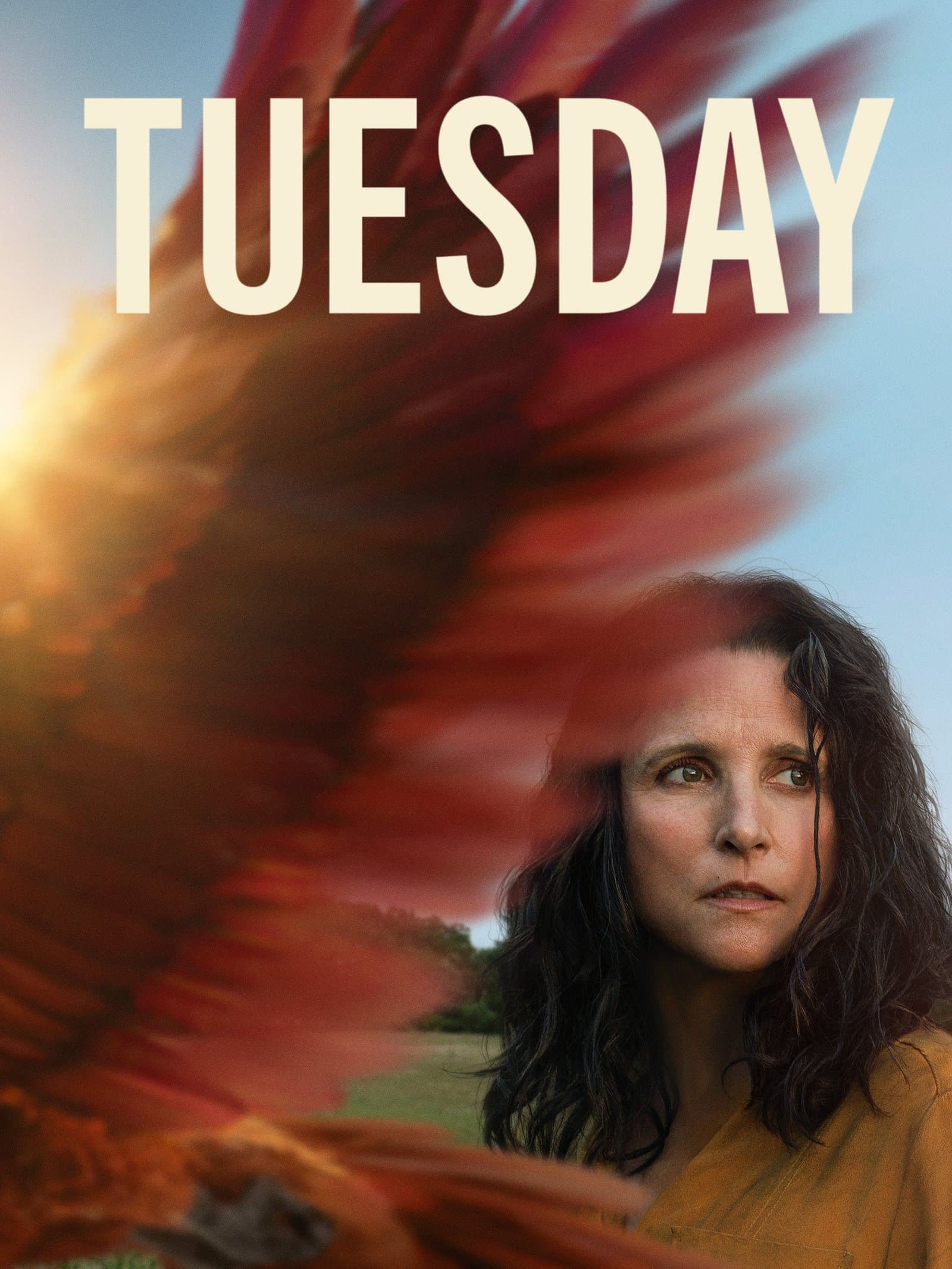 Tuesday poster