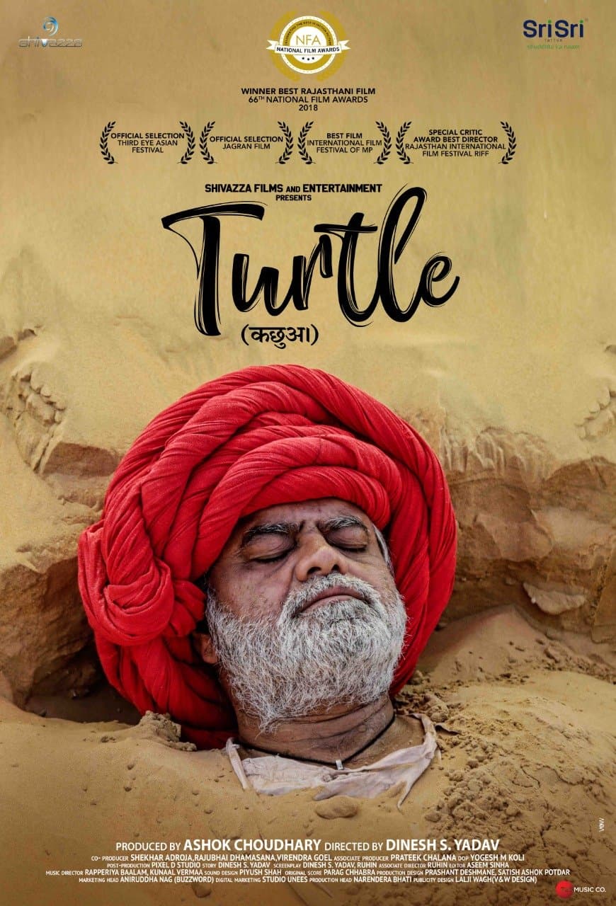 Turtle poster