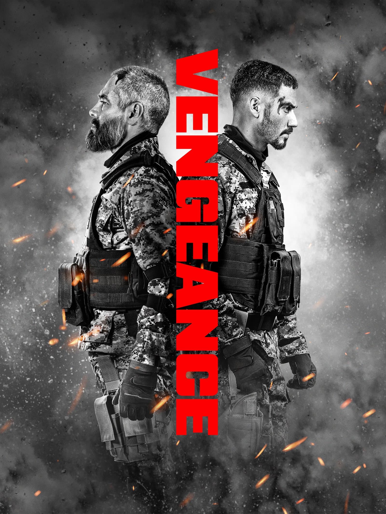Vengeance poster