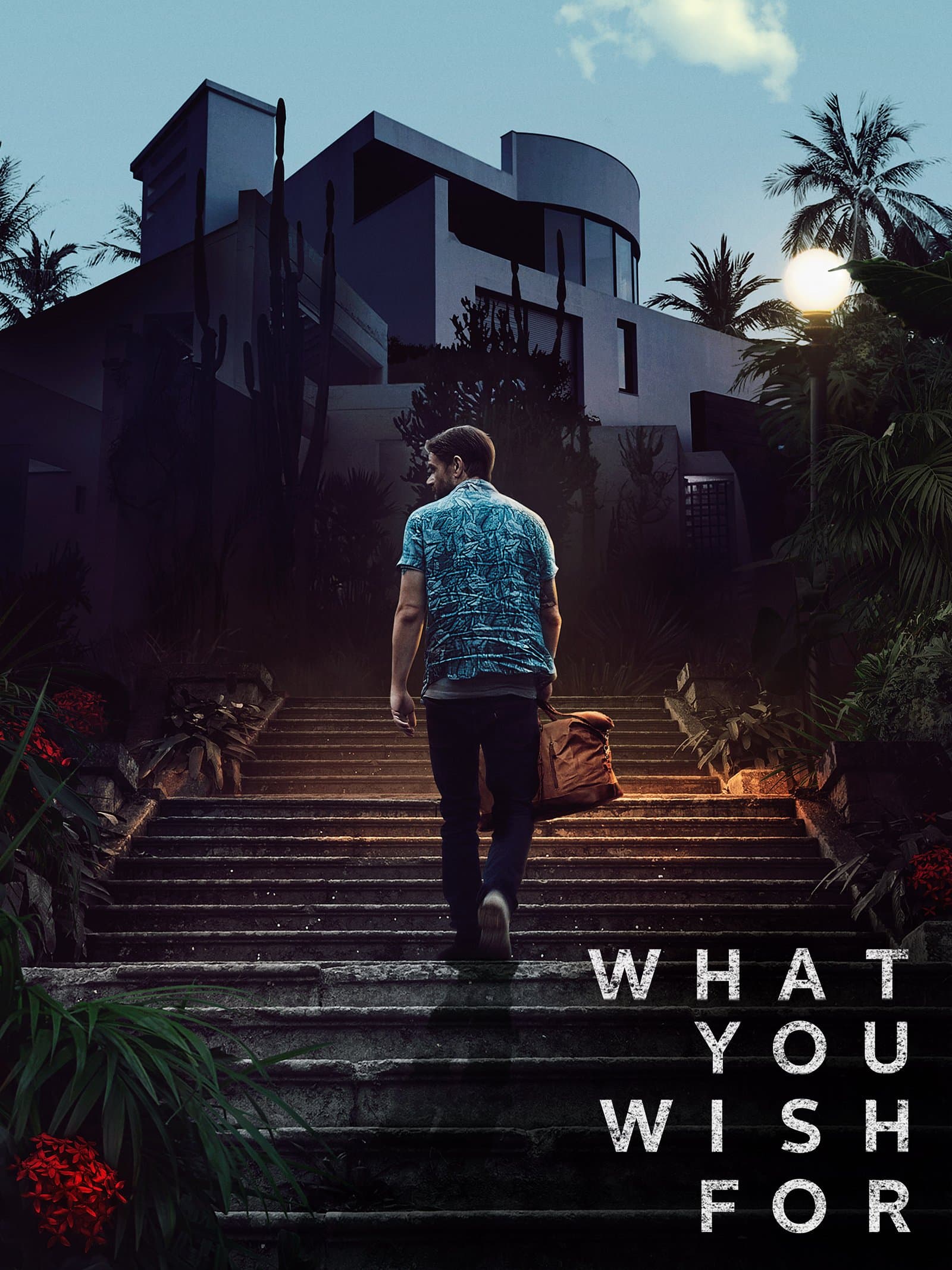 What You Wish For poster