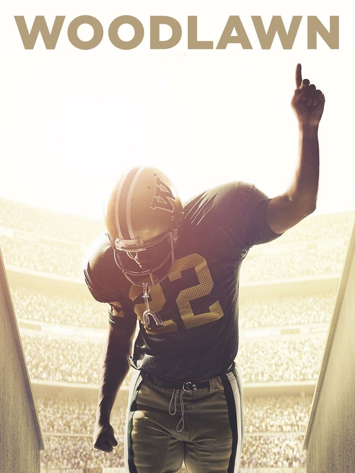 Woodlawn poster